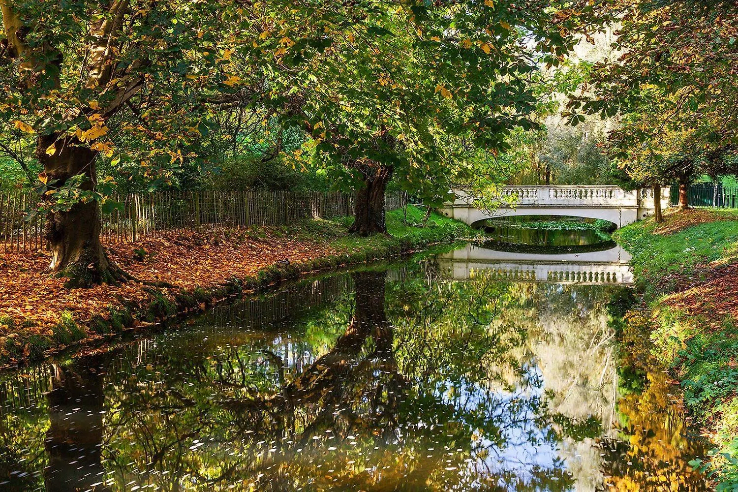 The Coral Suite - 2 Bedroom Apartment In Lakeside, Cardiff Minutes From Roath Park Lake Storbritannien