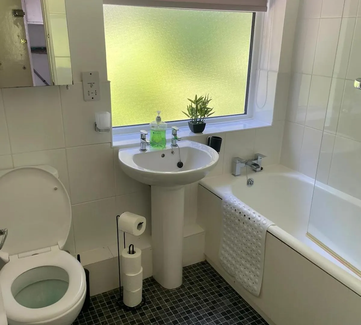 The Coral Suite - 2 Bedroom Apartment In Lakeside, Cardiff Minutes From Roath Park Lake
